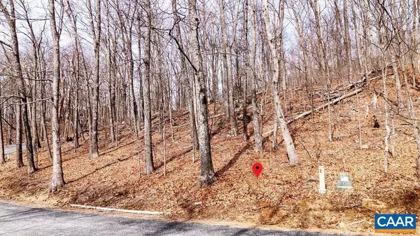 Wintergreen Resort, VA 22967,107 CHESTNUT LN #33