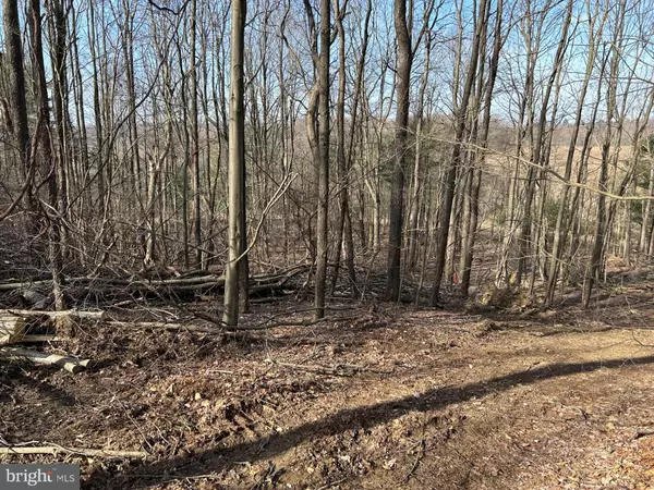Grampian, PA 16838,LOT ON WALL FARM ROAD