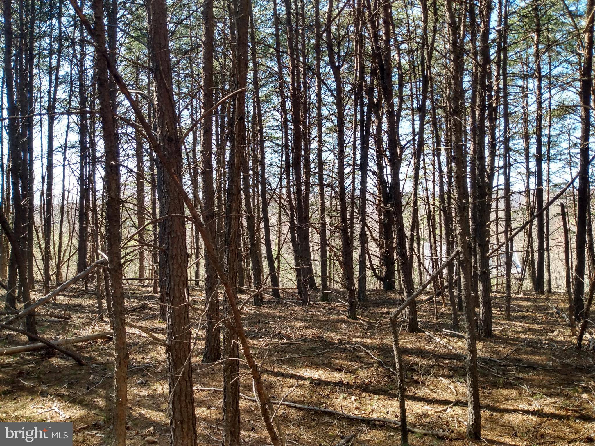 206 WAGON TRAIL, Berkeley Springs, WV 25411
