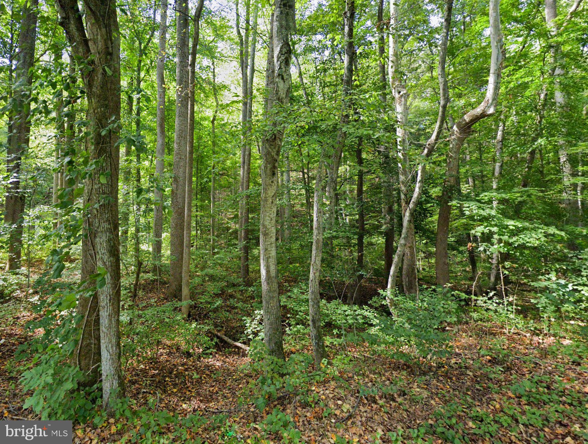 Stanley, VA 22851,0 MOSBYS CAMP RD