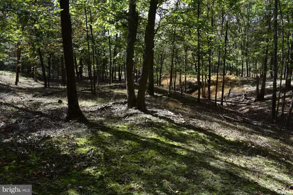 Romney, WV 26757,LOT 5 PRIVATE RANCH RD