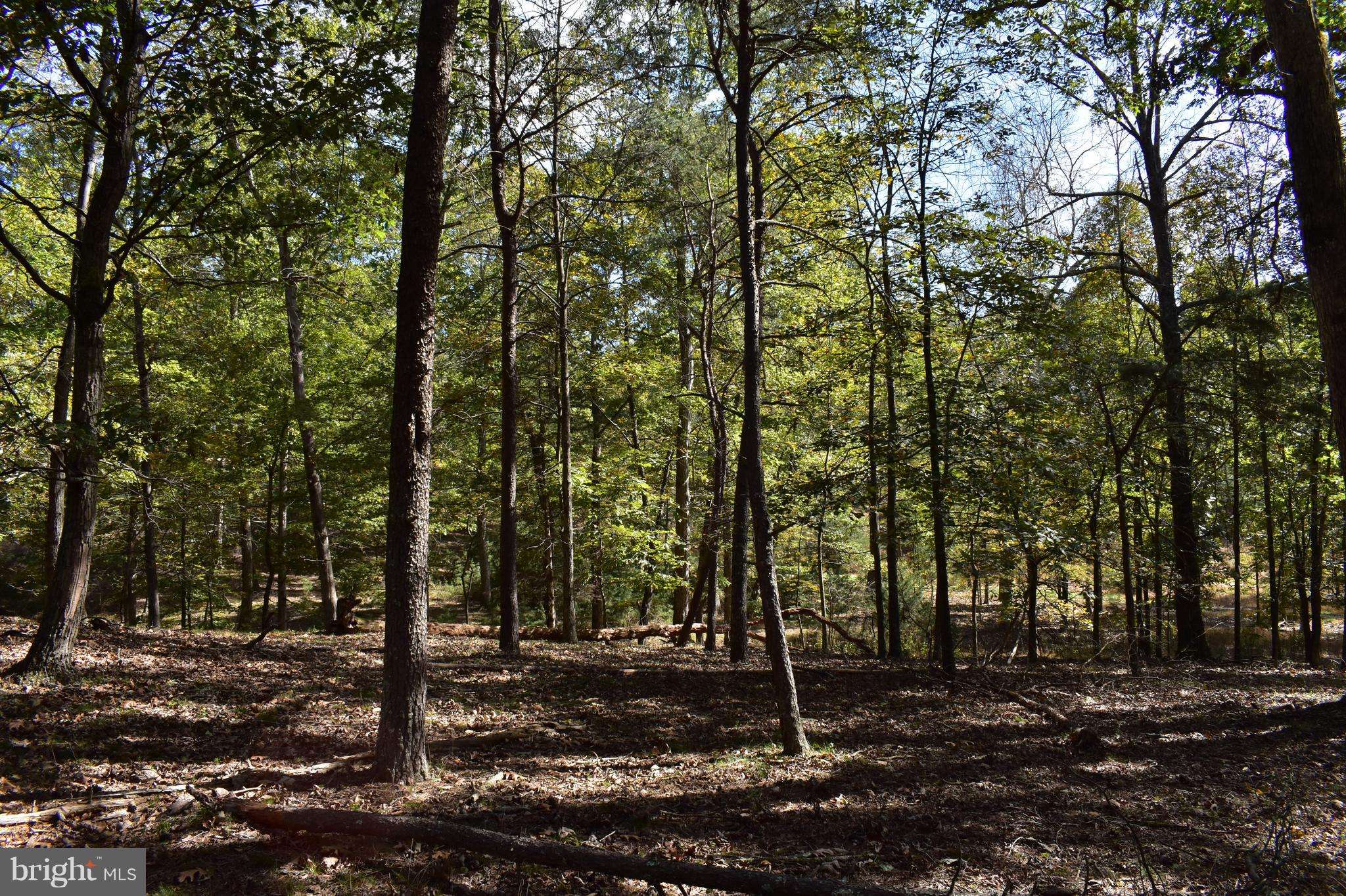 Romney, WV 26757,LOT 5 PRIVATE RANCH RD
