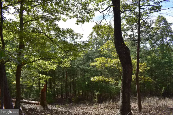 Romney, WV 26757,LOT 5 PRIVATE RANCH RD