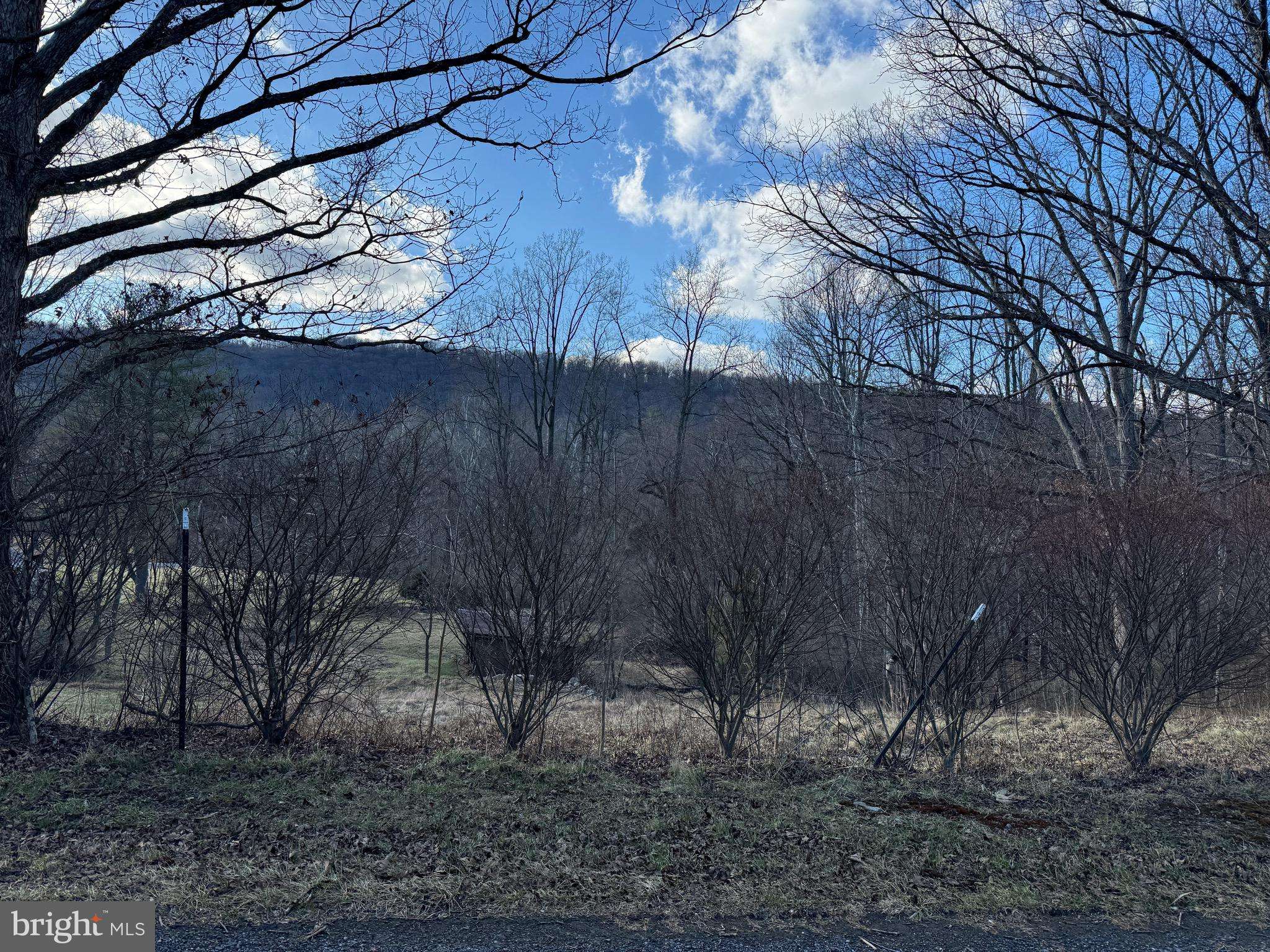 Wardensville, WV 26851,8 ORPHA LN