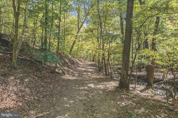 Linden, VA 22642,FIERY RUN RD