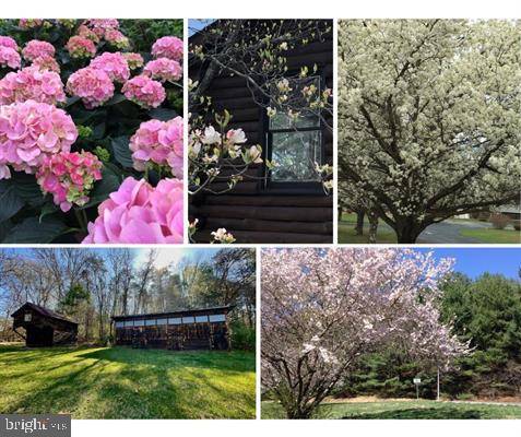Millboro, VA 24460,11 DREAM ST