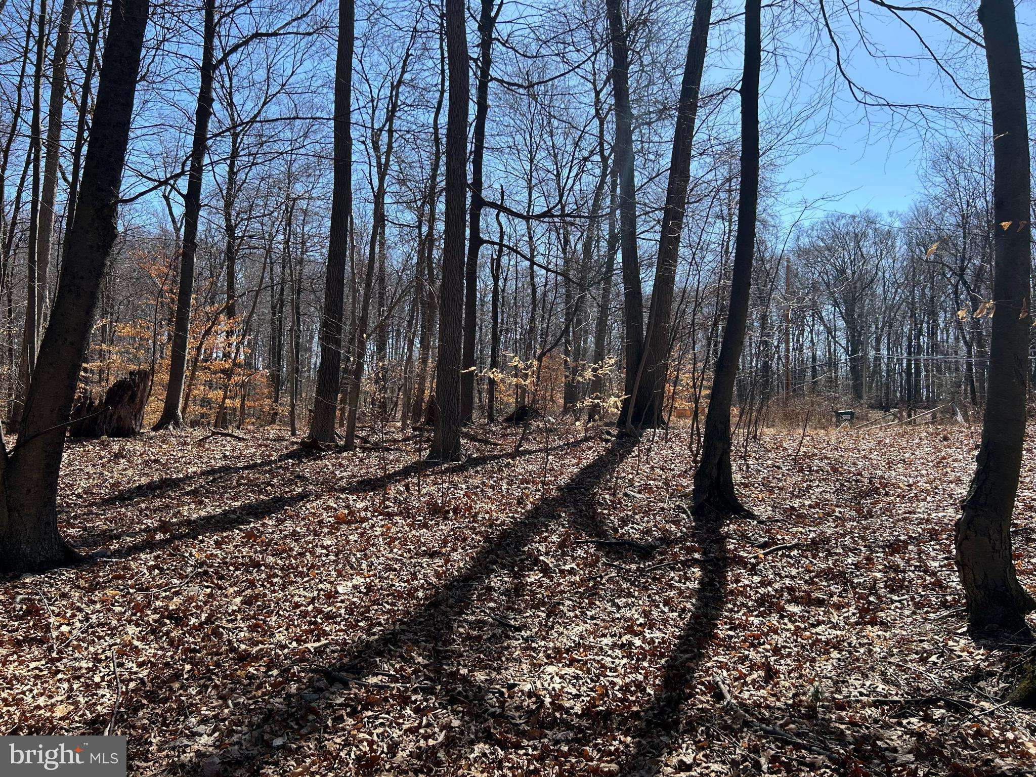 Fleetwood, PA 19522,LOT #3-162 LAKE RD.
