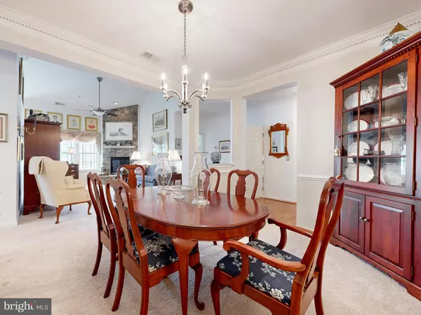 Woodstock, MD 21163,11155 CHAMBERS CT #P