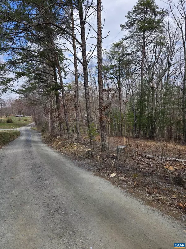 Scottsville, VA 24590,LOT 41B ED JONES RD