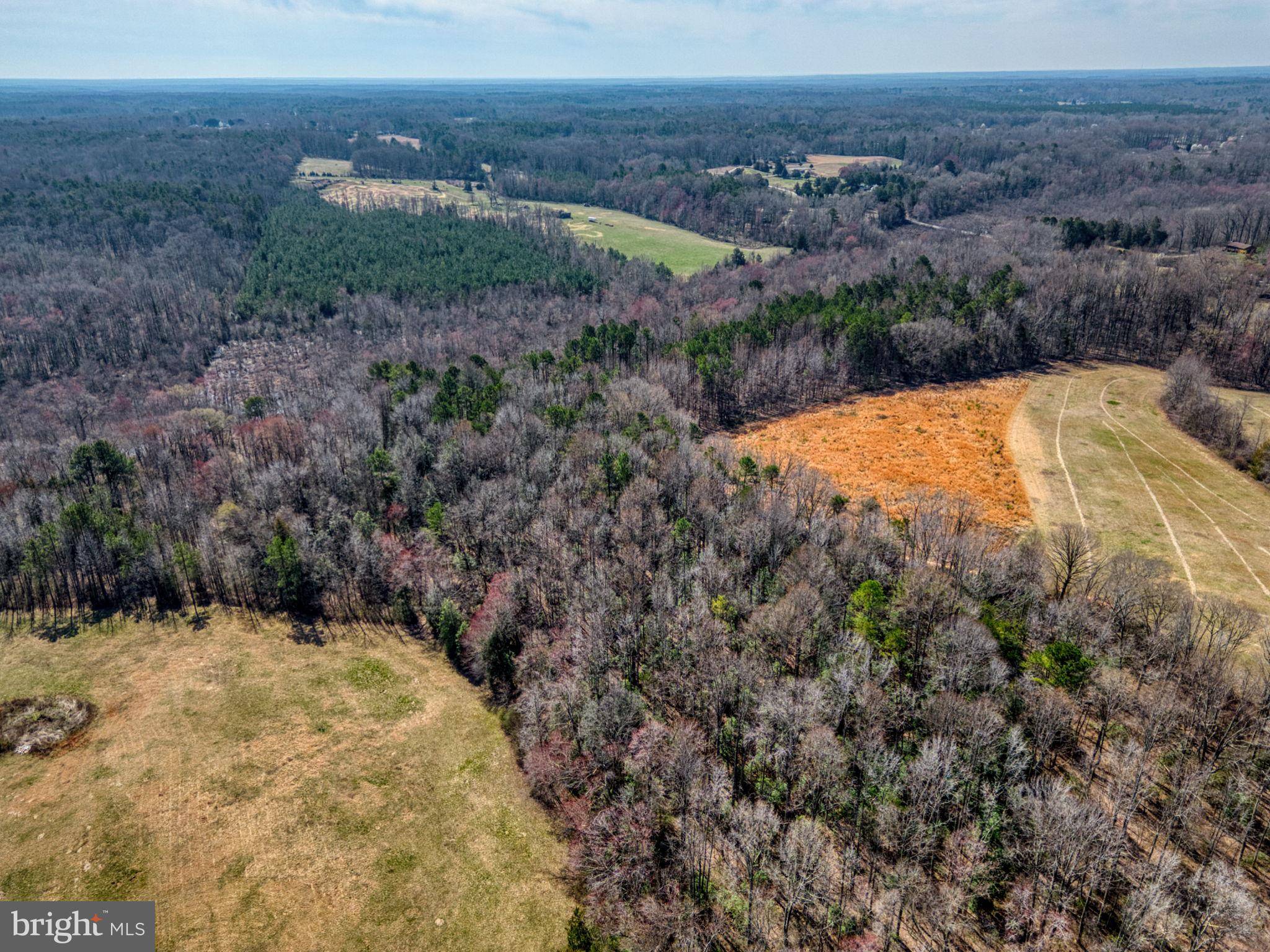 Beaverdam, VA 23015,LOT 8 PARRISH FARM RD