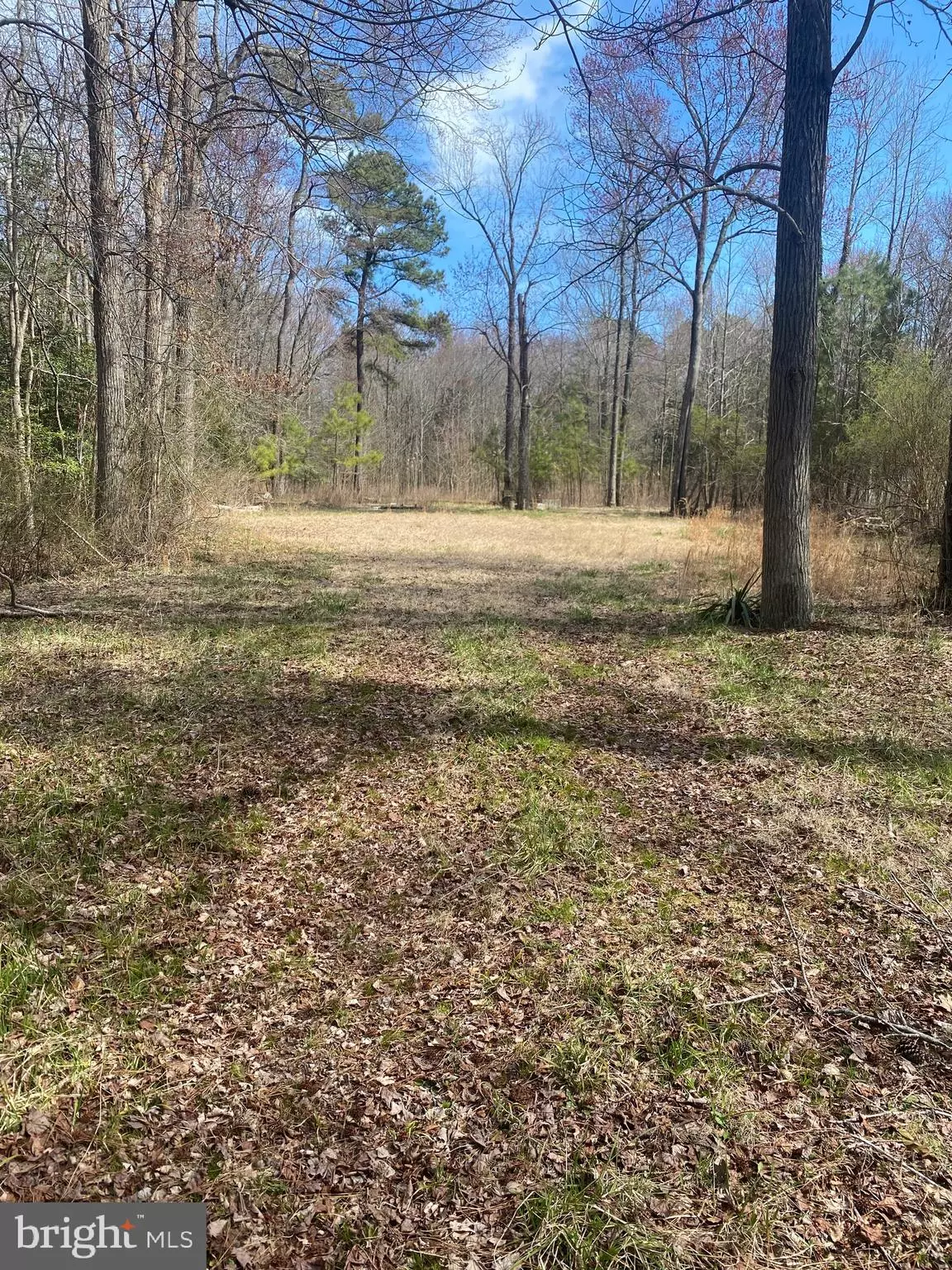 Georgetown, DE 19947,PARCEL 7.01 SAVANNAH RD, RD 246