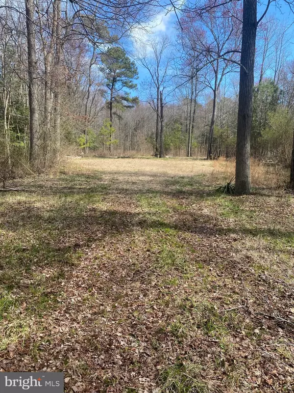 PARCEL 7.01 SAVANNAH RD, RD 246, Georgetown, DE 19947