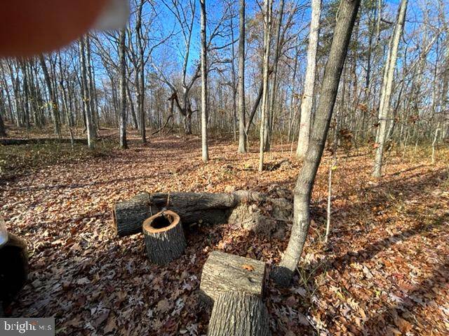 Cross Junction, VA 22625,N TIMBER RIDGE RD RD #900 BLOCK
