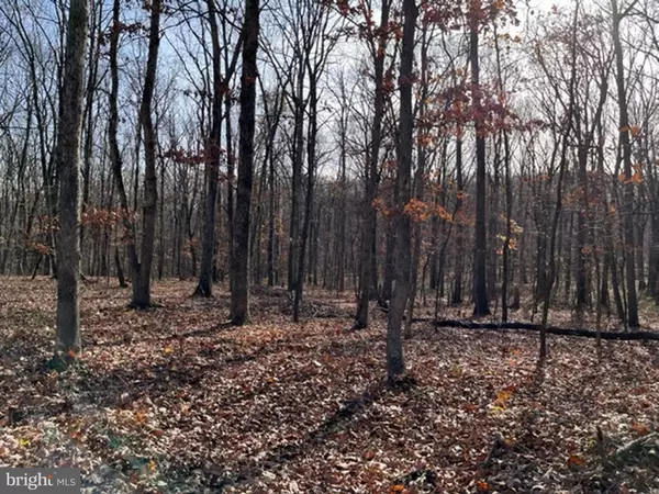 Cross Junction, VA 22625,N TIMBER RIDGE RD #600 BLOCK