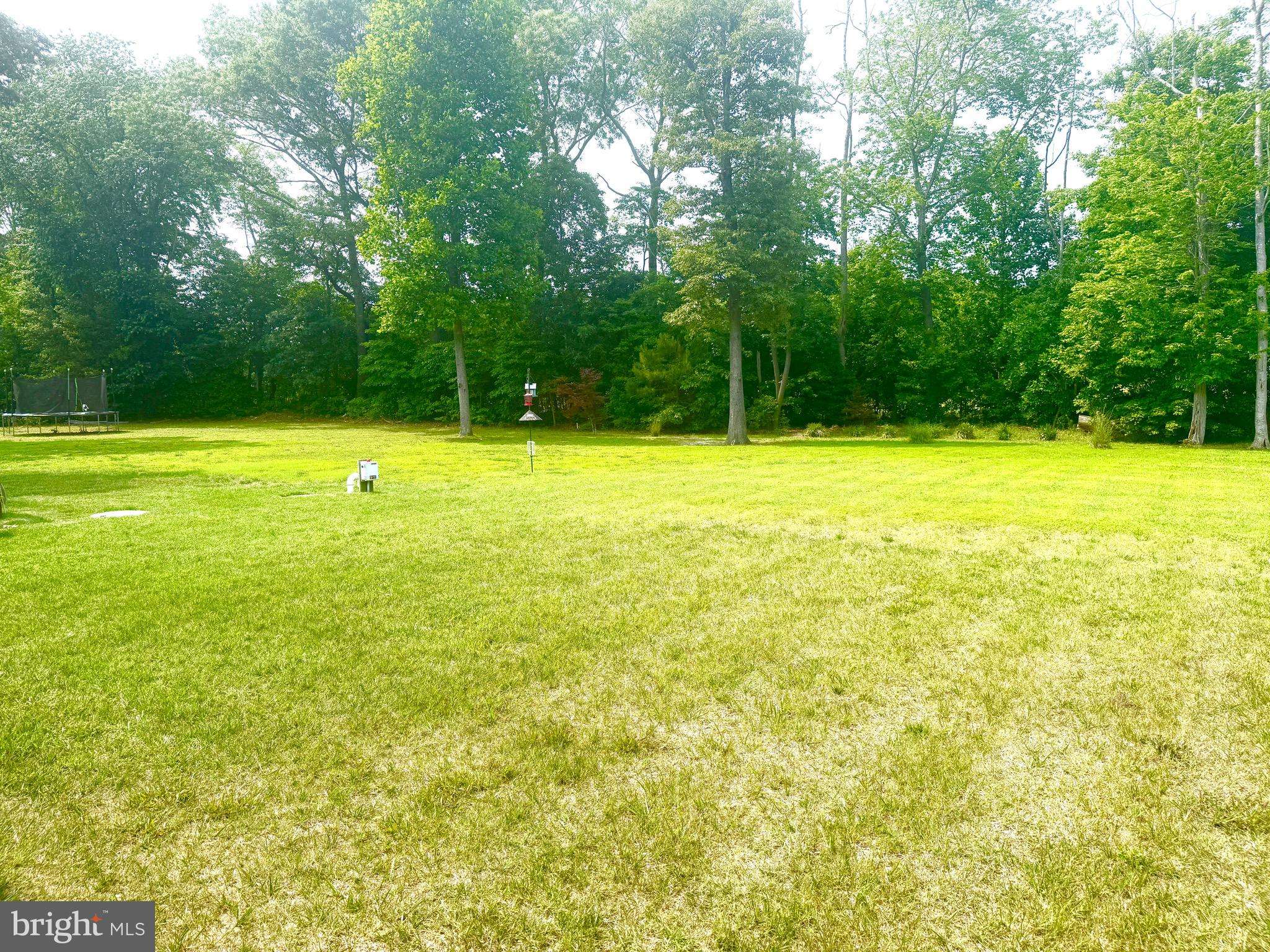 Millsboro, DE 19966,21249 TREEVIEW LN