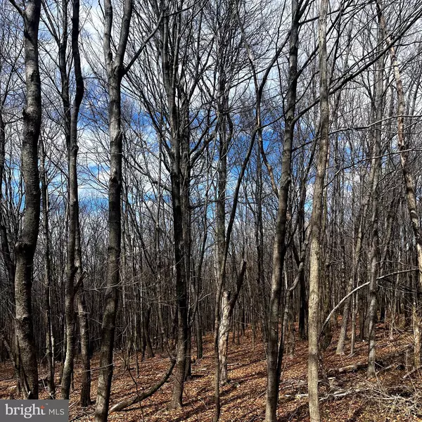 Frostburg, MD 21532,12215 BARBERS HILL RD