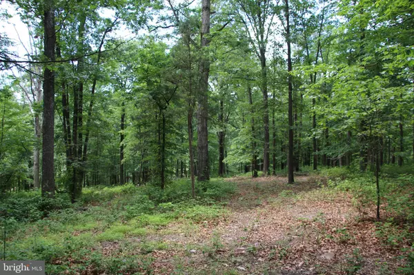 GOUGH RD, Winchester, VA 22602