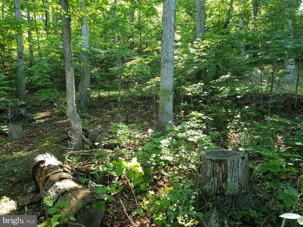 Cross Junction, VA 22625,0 LAKEVIEW