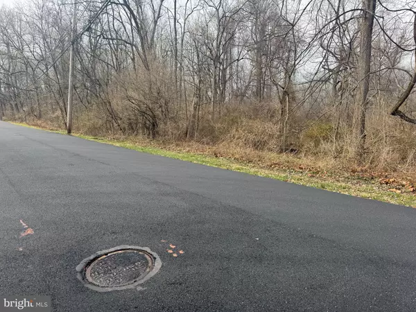 Birdsboro, PA 19508,0 OLD RIVER RD