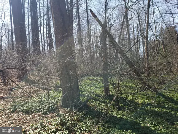 York, PA 17402,731 LOCUST GROVE RD