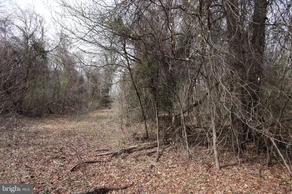 Bryans Road, MD 20616,LOTS 2-15 PENGUIN PL