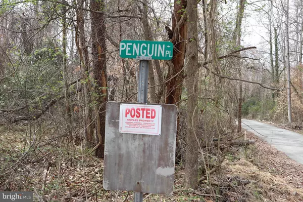 Bryans Road, MD 20616,LOTS 2-15 PENGUIN PL