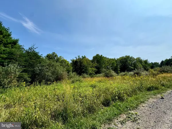 LOT 48 WARDEN HOLLOW S-D LK, Wardensville, WV 26851