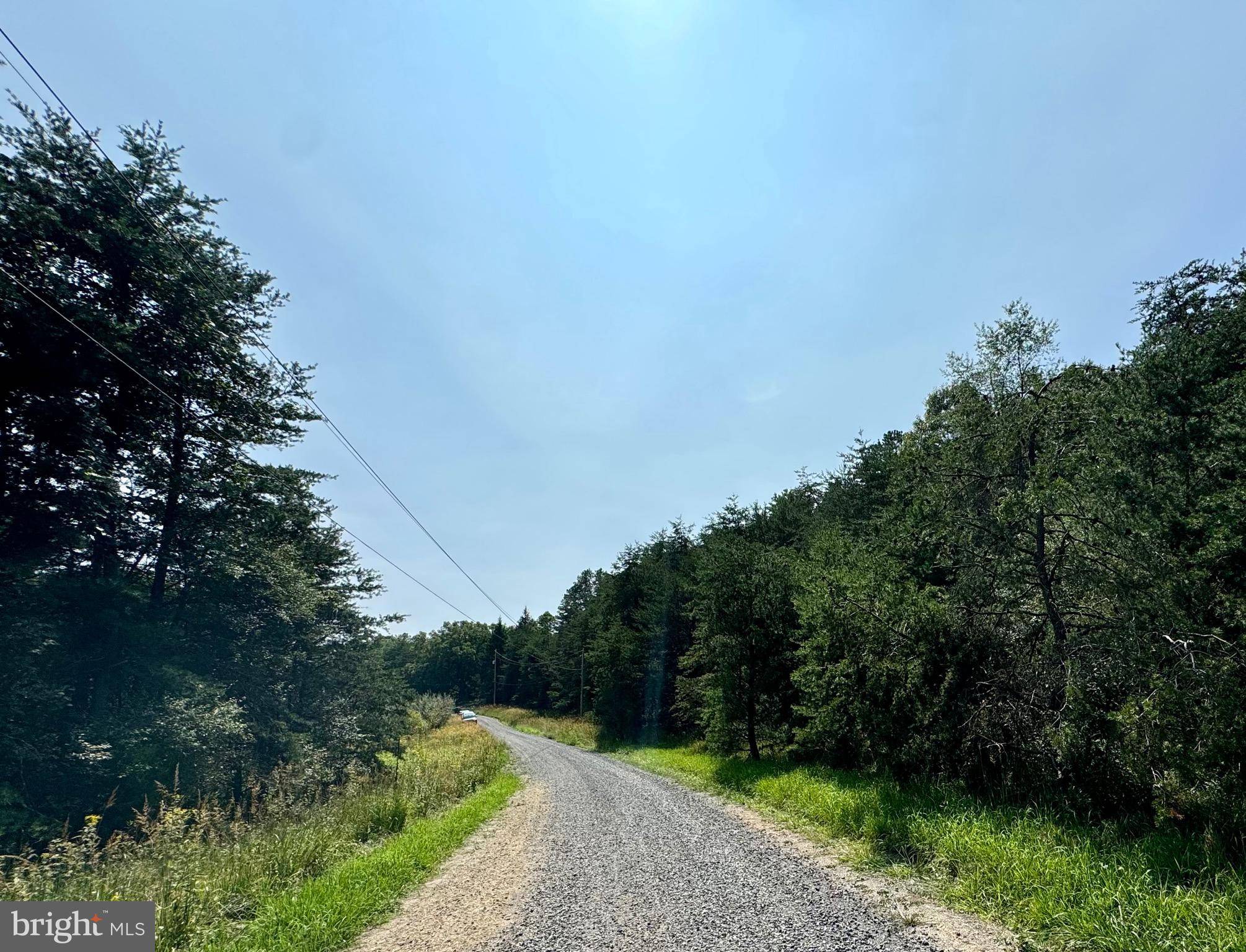 Wardensville, WV 26851,LOT 48 WARDEN HOLLOW S-D LK