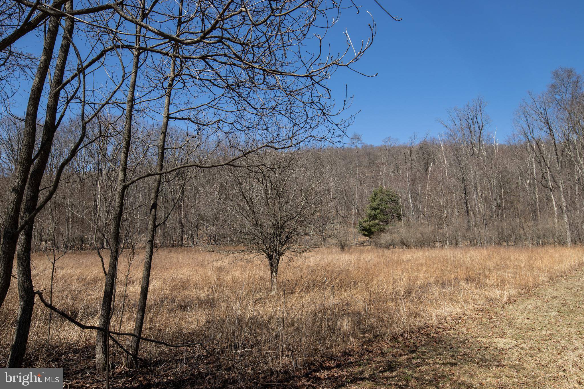 Barnesville, PA 18214,0 BACK RD