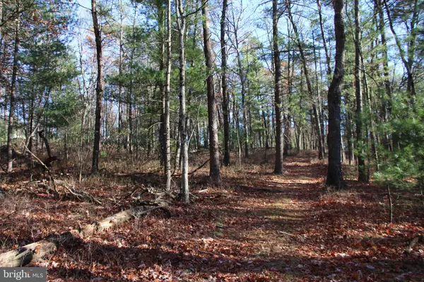 Mount Jackson, VA 22842,ROLLY RD