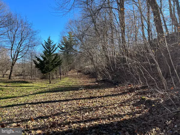 Mount Airy, MD 21771,5151-C OLD BARTHOLOWS RD