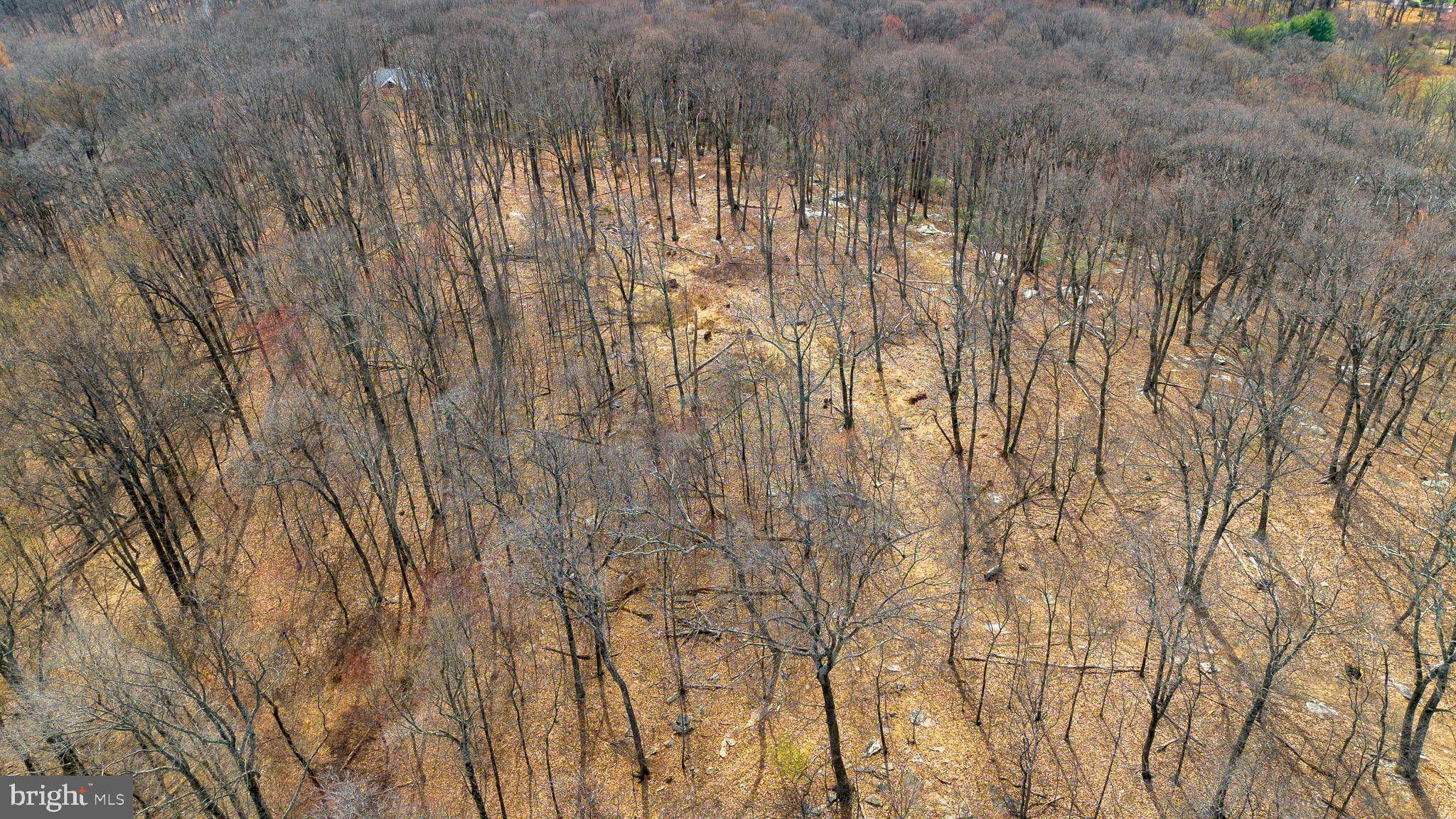 MOUNT ZION RD, Frederick, MD 21703