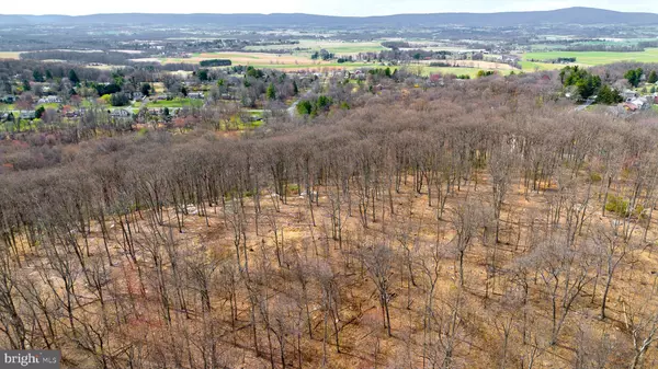 Frederick, MD 21703,MOUNT ZION RD