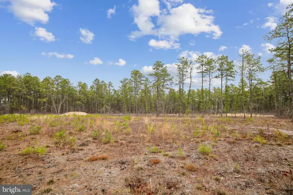 Chatsworth, NJ 08019,0 SAVOY BLVD