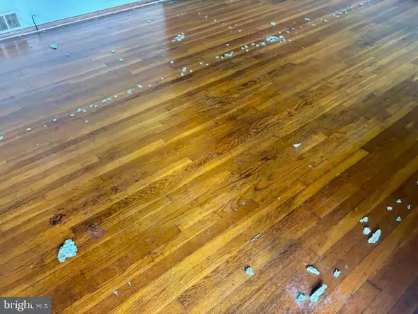 Frostburg, MD 21532,260 W MECHANIC ST