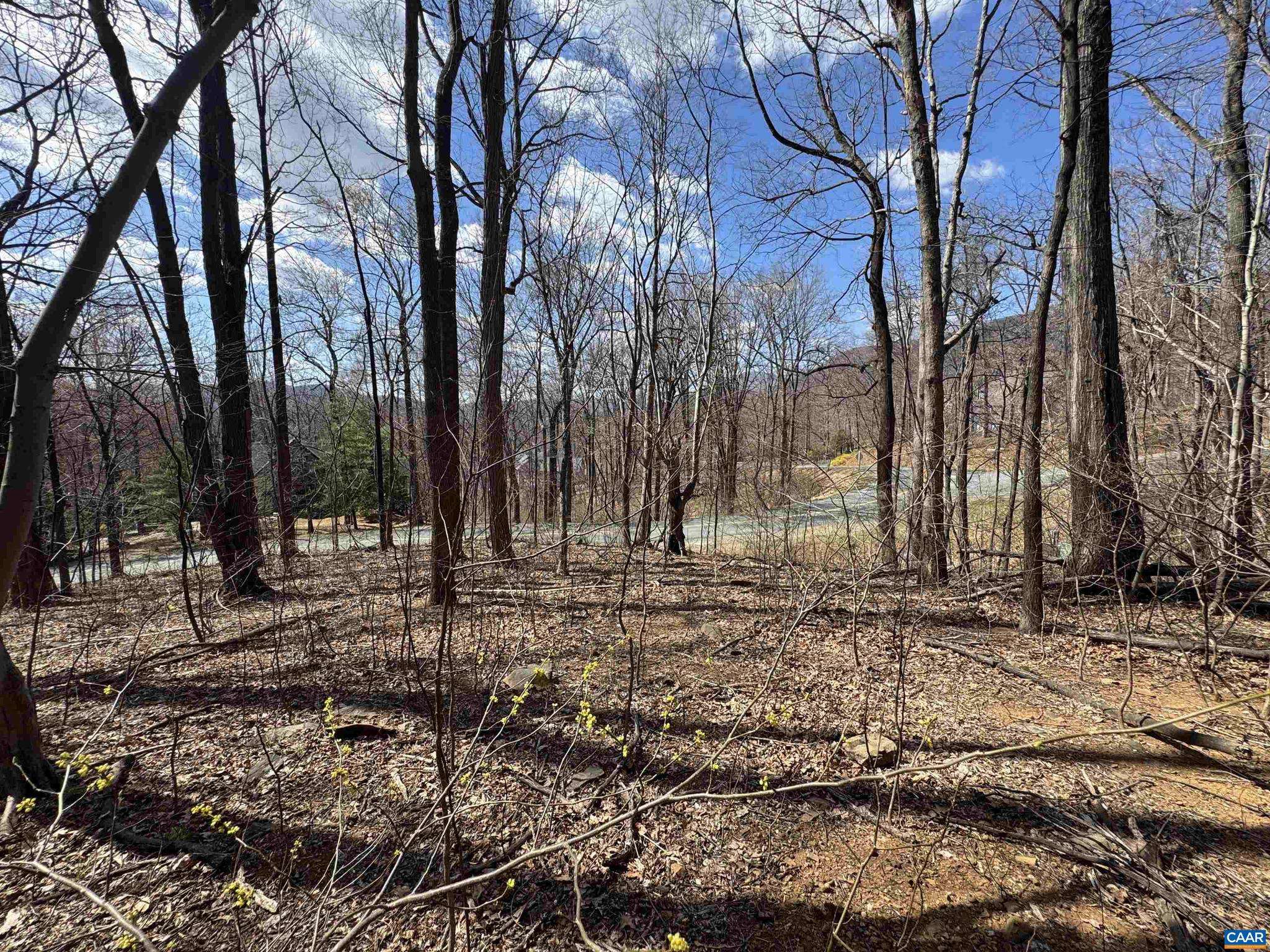 Nellysford, VA 22958,TBD FAR KNOB CLIMB