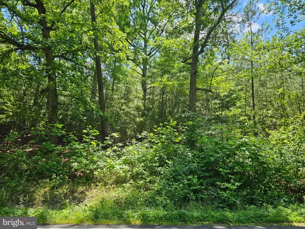 0 MT OLIVE RD, Beaverdam, VA 23015