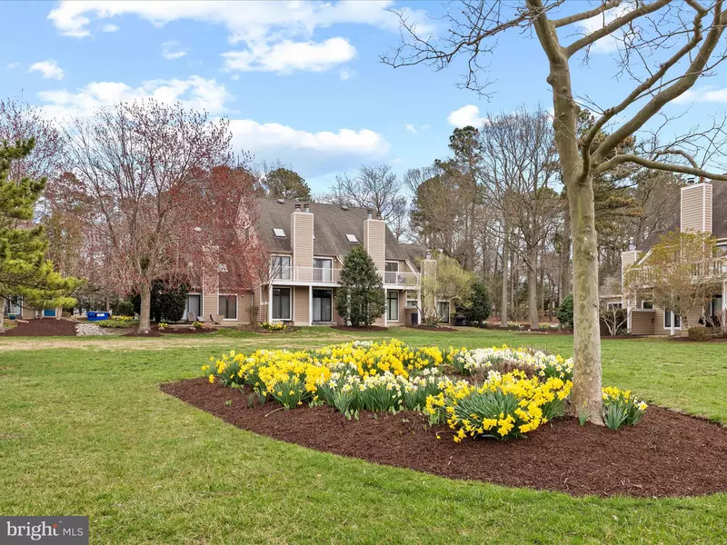 20830 SPRING LAKE DR #415, Rehoboth Beach, DE 19971