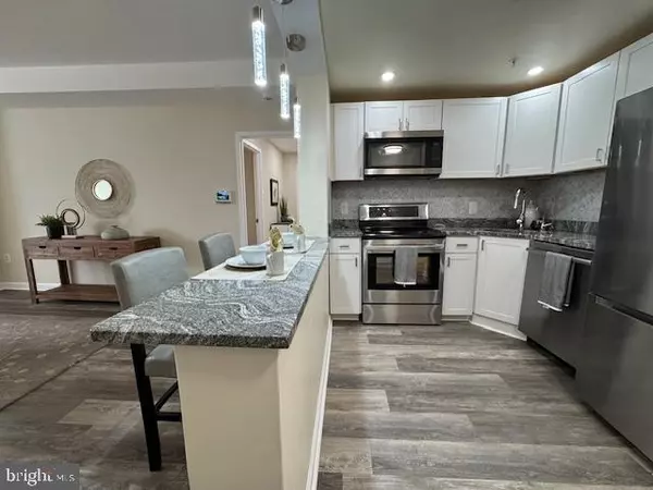 Towson, MD 21204,28 ALLEGHENY AVE #1212