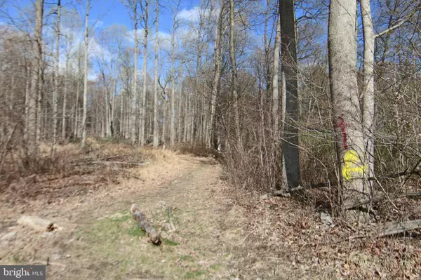 Palmyra, PA 17078,0 S FORGE ROAD