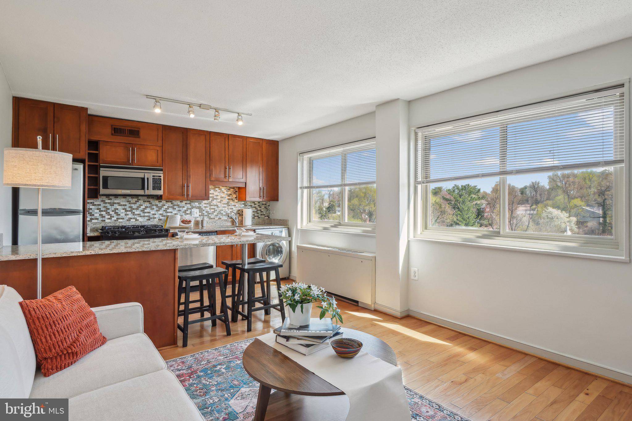 Takoma Park, MD 20912,7333 NEW HAMPSHIRE AVE #808 S