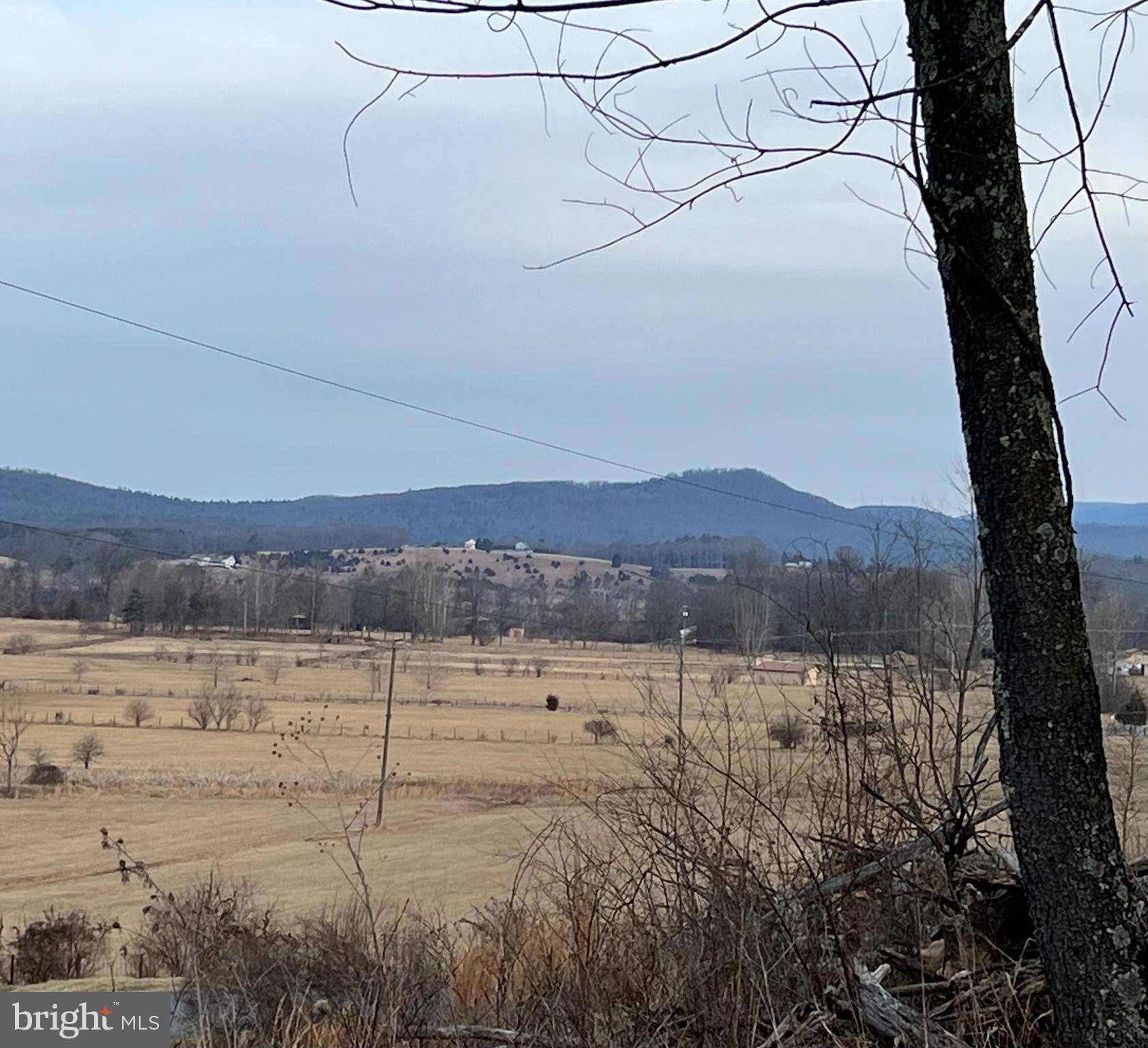 Capon Bridge, WV 26711,TBD HUMMINGBIRD LANE LN #LOT 1A