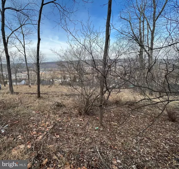 Capon Bridge, WV 26711,TBD HUMMINGBIRD LANE LN #LOT 1A