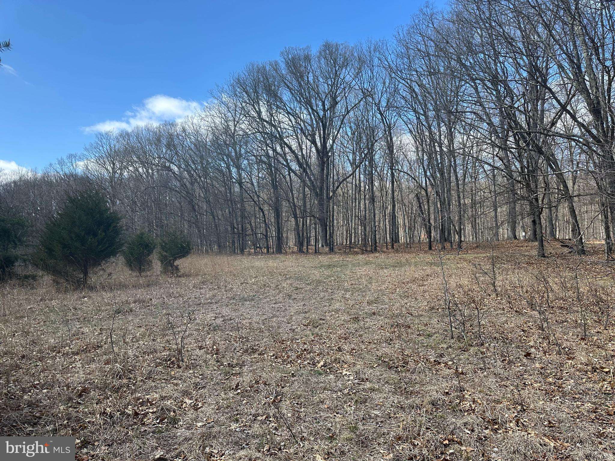 29.72 AC PAULS WOODS RD,  Delray,  WV 26714