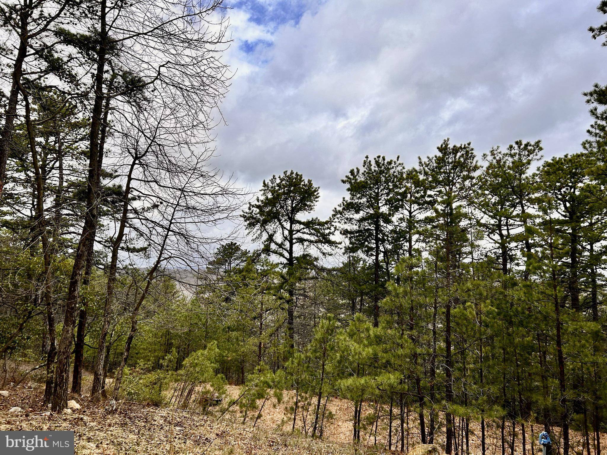 Yellow Spring, WV 26865,LOT 82 DOE GARDEN DR
