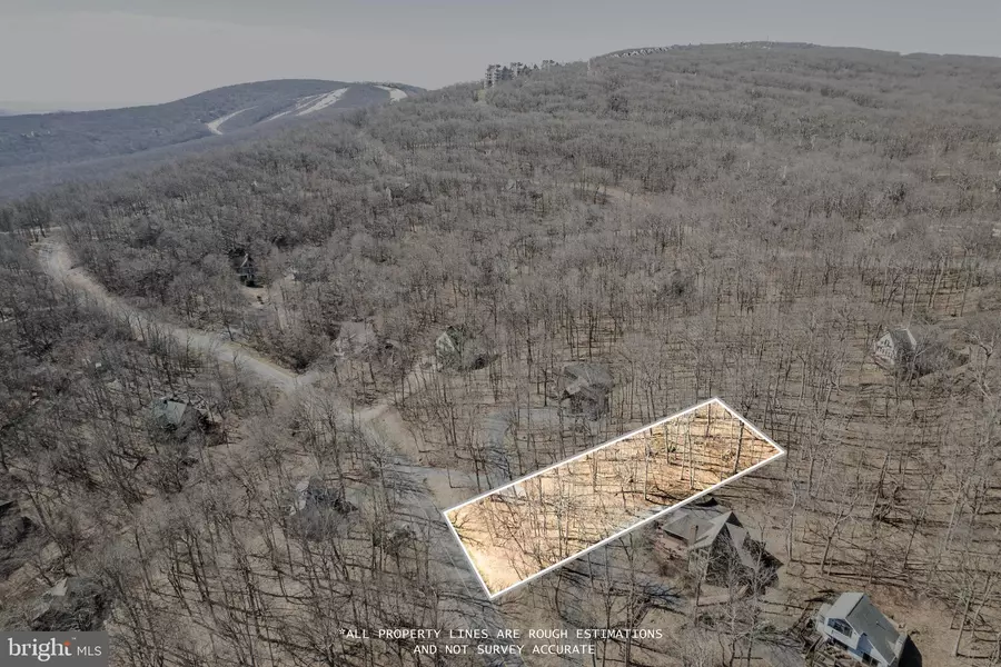 688 SHAMOKIN SPRINGS TRL TRL, Wintergreen, VA 22958