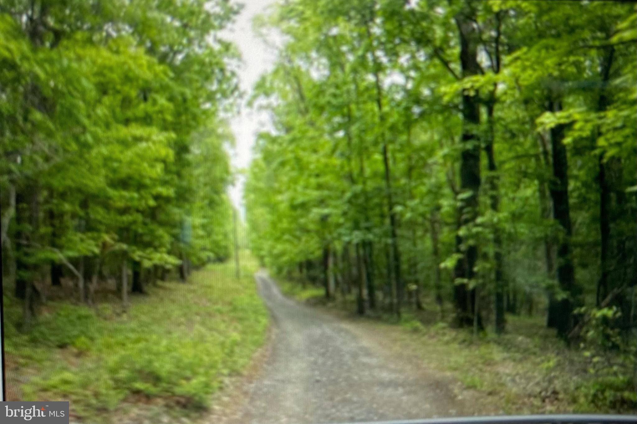 New Market, VA 22844,RT 616 NR WOOD CHAPEL - SPLINTER LANE TRL
