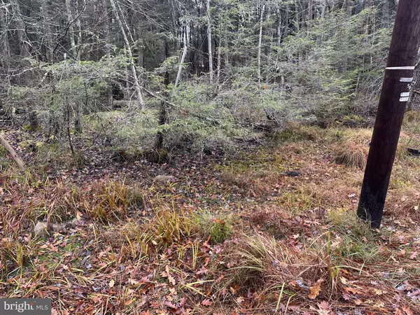 Albrightsville, PA 18210,0 MILLS DR