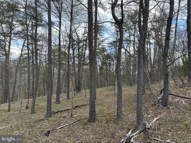 Burlington, WV 26710,8.86 AC MIDDLE RIDGE ESTATES