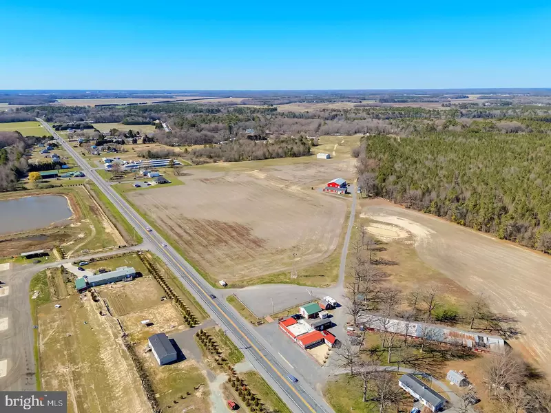 13203 SEASHORE HWY, Georgetown, DE 19947